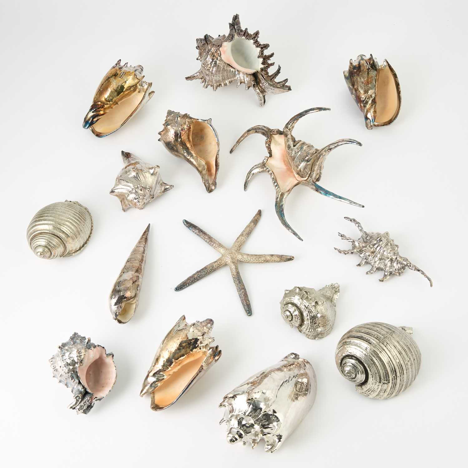 Lot 542 - Group of Twelve Silver Plated Natural Seashells and Three Silver Plated Faux Seashells