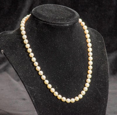 Lot 357 - Cultured Pearl Necklace with Gold Clasp