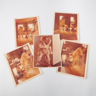 Lot 616 - An original bronze maquette with photos of Michael Jackson's "Scarecrow" Costume in The Wiz