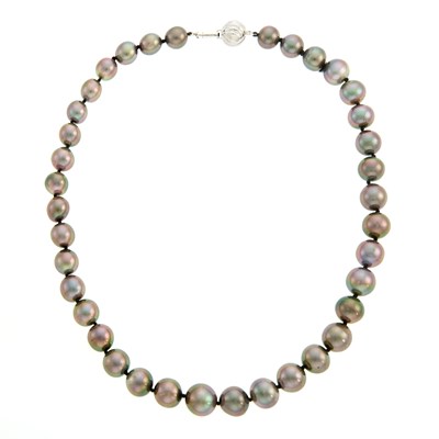 Lot 2106 - Tahitian Gray Cultured Pearl Necklace with White Gold Clasp