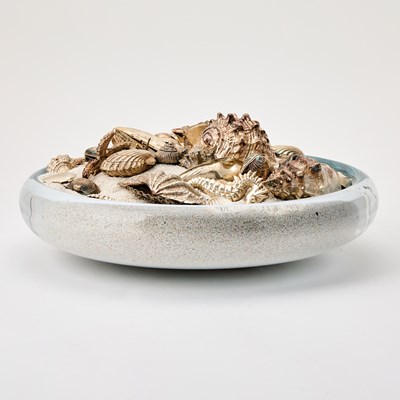 Lot 206 - Collection of Silver and Silver Plated Seashells in a Glass Centerpiece Bowl