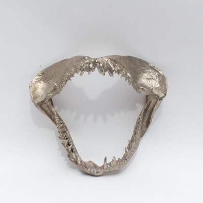 Lot 181 - Silvered Shark Jaw