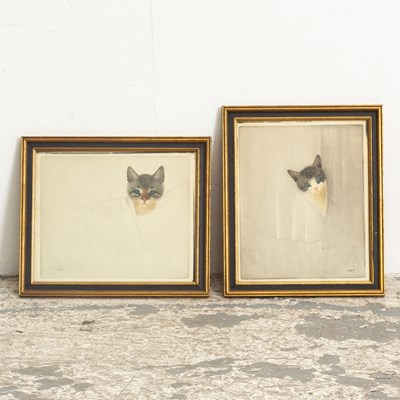 Lot 351 - Kittens : Two