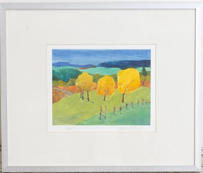 Lot 352 - Aspen