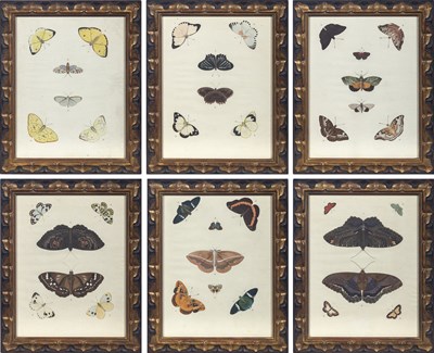 Lot 116 - Pieter Cramer (1721-1776) and Caspar Stoll (c. 1725-1791)