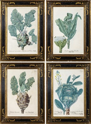 Lot 115 - After Johann Wilhelm Weinmann (1683-1741)