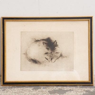 Lot 241 - Cat