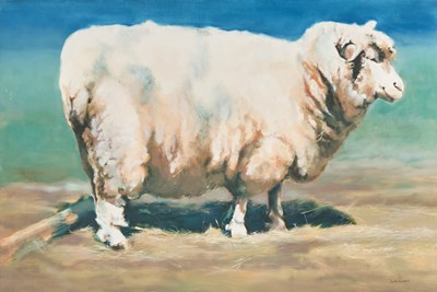 Lot 27 - Jim Richmond