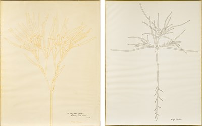 Lot 9 - Buffie Johnson