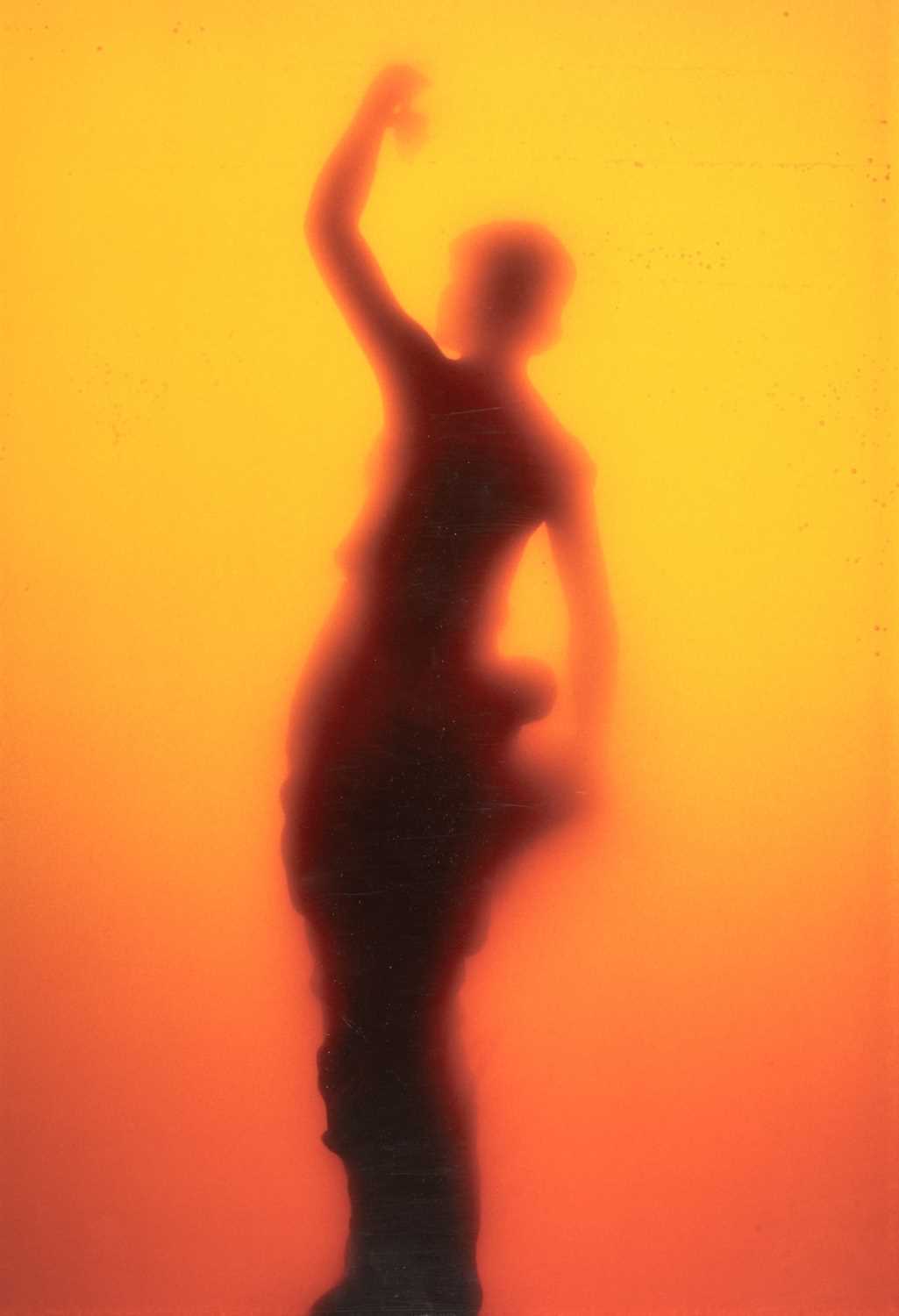 Lot 109 - Andres Serrano, Piss Elegance [from Immersions], 1987