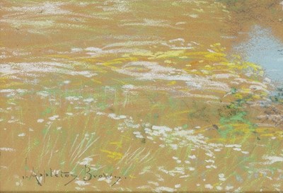 Lot 67 - John Appleton Brown