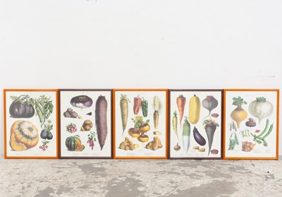 Lot 162 - After Champin: : Five