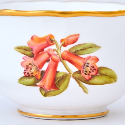 Lot 145 - Spode Porcelain "Rhododendrons" Pattern Partial Tea Service