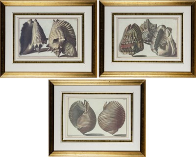 Lot 95 - After Giuseppe Menabuoni
