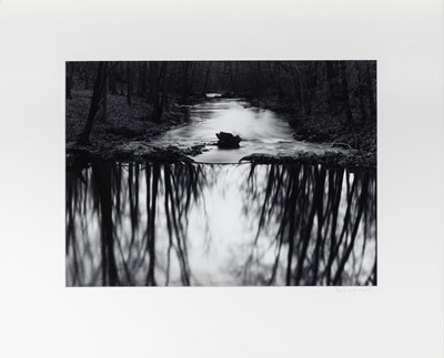 Lot 24 - Paul Caponigno, Woods, Redding, Connecticut, 1968
