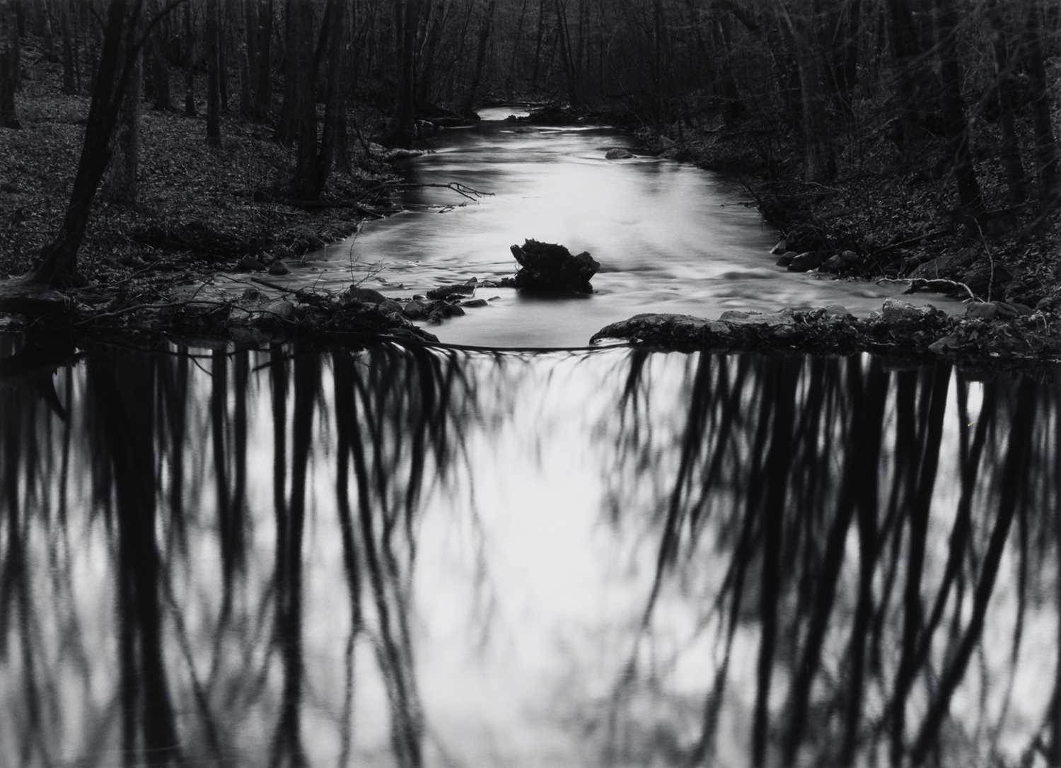 Lot 24 - Paul Caponigno, Woods, Redding, Connecticut, 1968