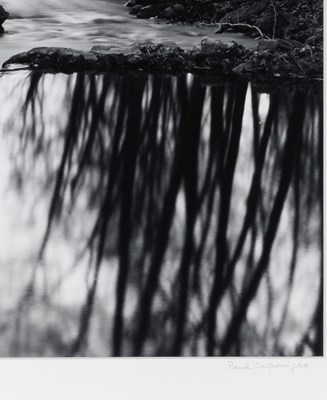 Lot 24 - Paul Caponigno, Woods, Redding, Connecticut, 1968