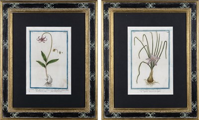 Lot 114 - Giorgio Bonelli (1724-1782)