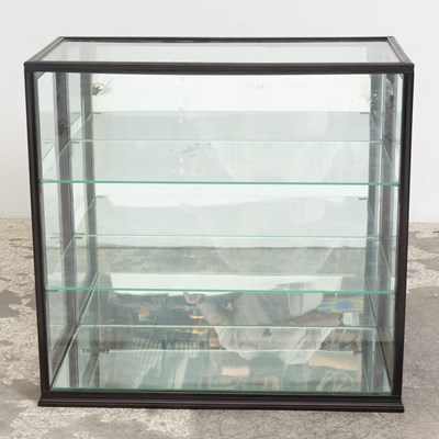 Lot 125 - Glass and Painted Wood Display Cabinet