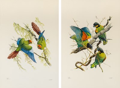 Lot 201 - Two colorful bird prints