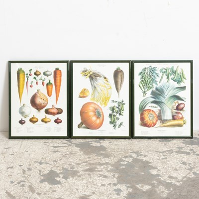 Lot 290 - After Champin : Three