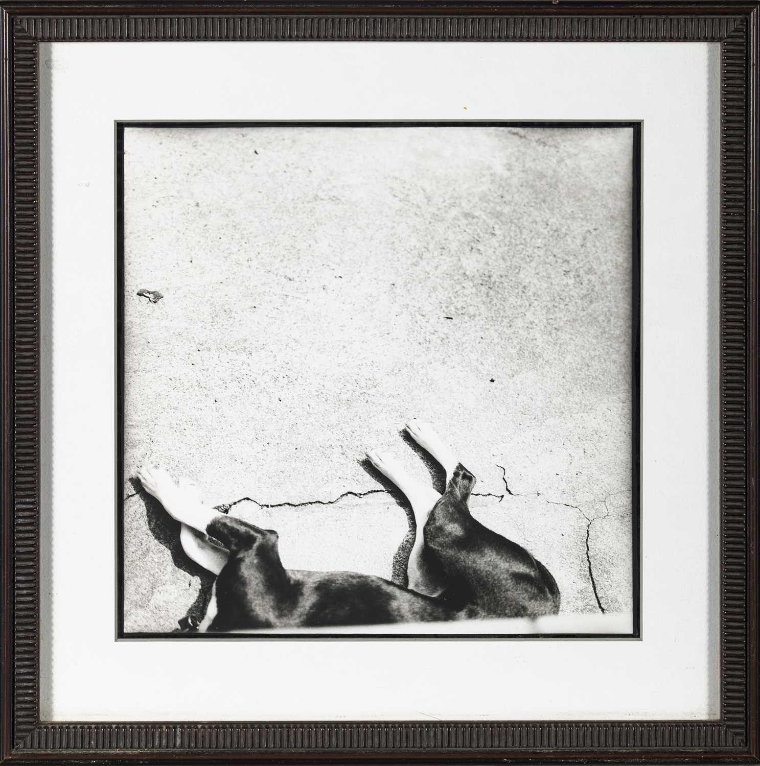 Lot 18 - An original signed fine art photograph by Michael Stipe