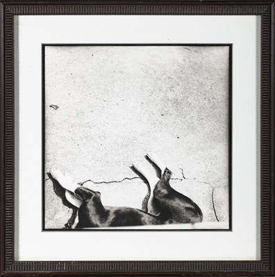 Lot 18 - An original signed fine art photograph by Michael Stipe