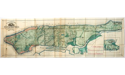 Lot 218 - Egbert Viele's great map of The Typography or Hydrology of New York