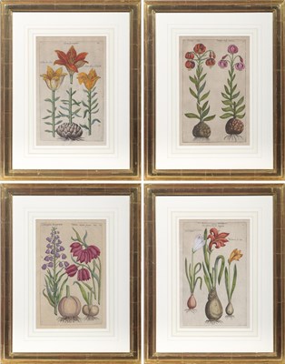 Lot 48 - Emanuel Sweert (1552-1612)