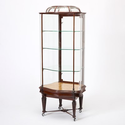Lot 3037 - Mahogany and Glass Display Cabinet