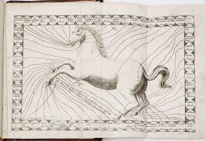 Lot 91 - Le Parfait Mareschal