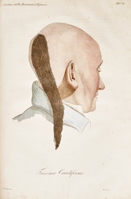 Lot 61 - The Italian translation of Alibert on skin disease