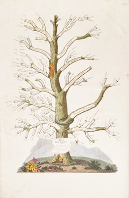Lot 61 - The Italian translation of Alibert on skin disease