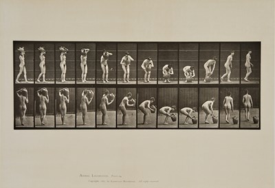 Lot 52 - Group of four plates from Muybridge's Human and Animal Locomotion