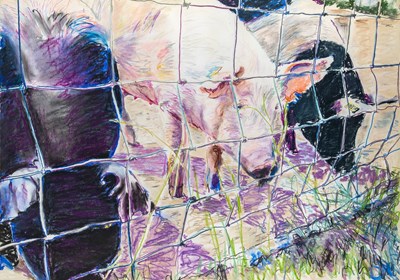 Lot 48 - Billy Sullivan