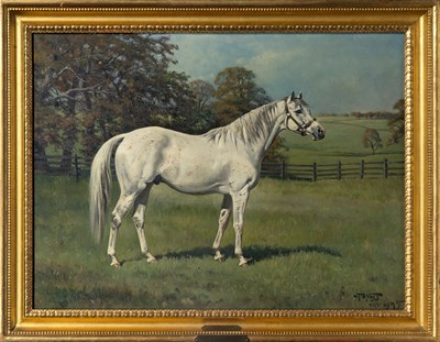 Lot 6 - Franklin Brooke Voss