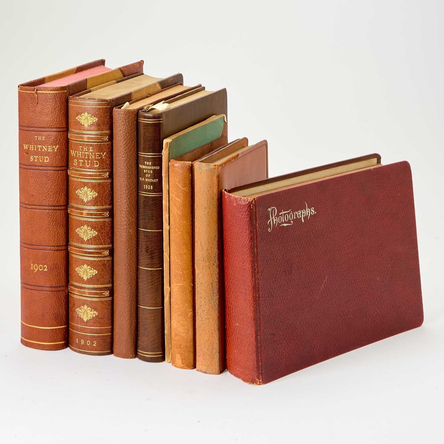 Lot 69 - The Whitney Stud