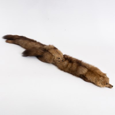 Lot 314 - Mink Stole