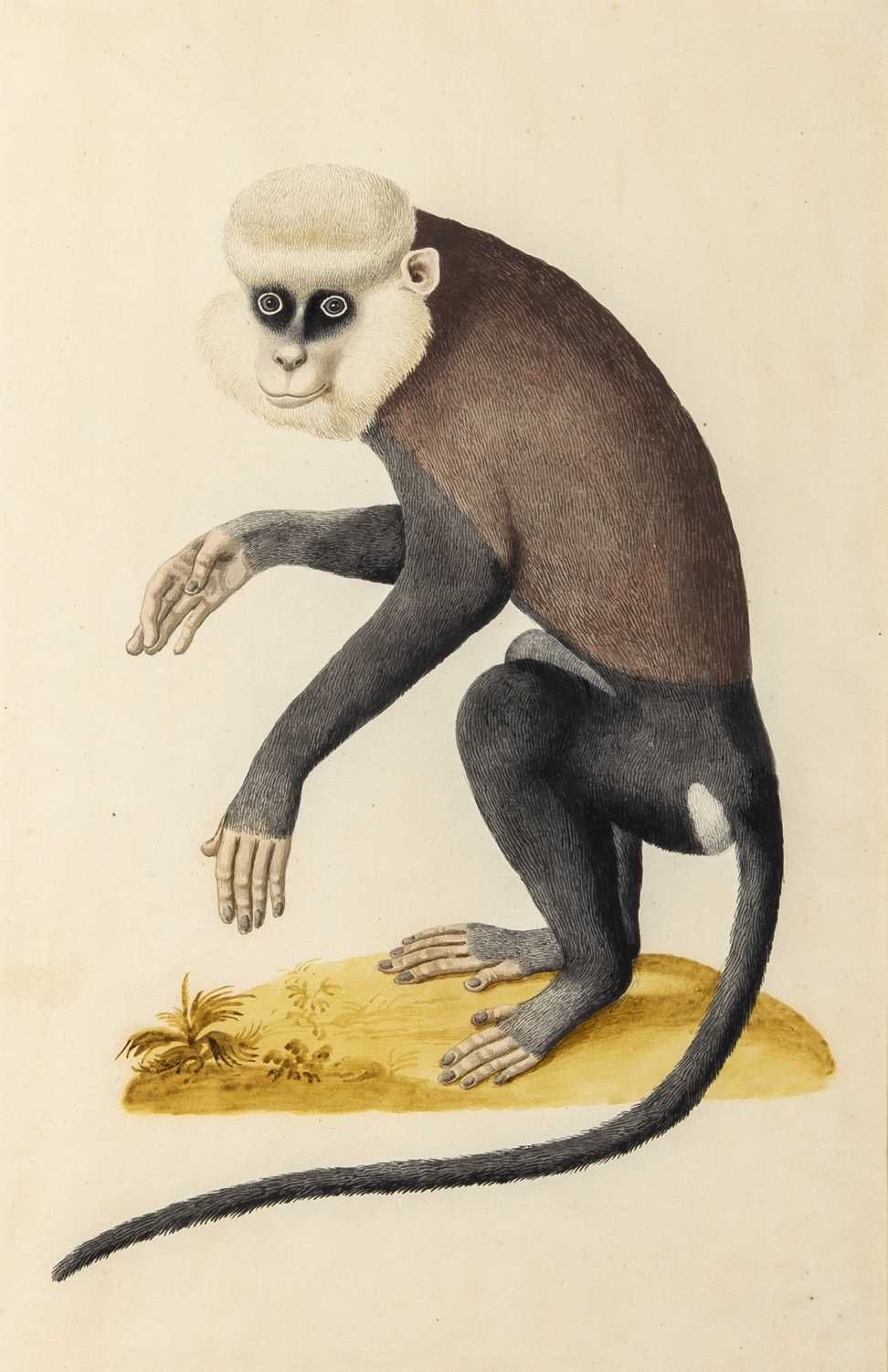 Lot 11 - Indian School