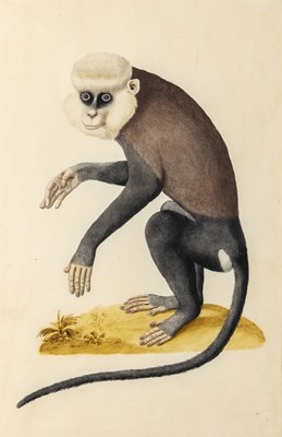 Lot 11 - Indian School