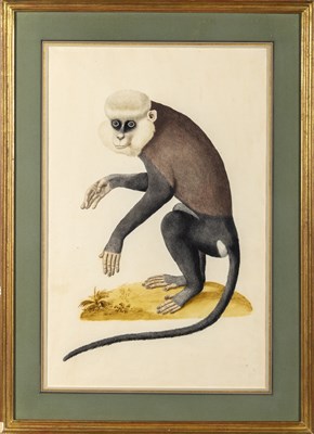 Lot 11 - Indian School