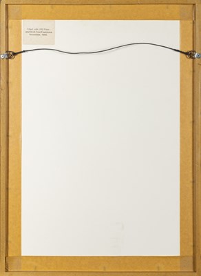 Lot 11 - Indian School