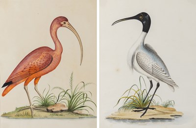 Lot 9 - European School