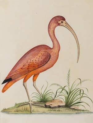 Lot 9 - European School