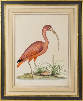 Lot 9 - European School