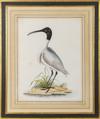 Lot 9 - European School