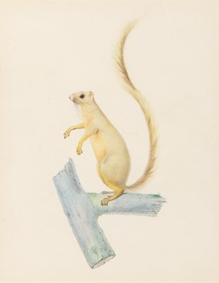 Lot 12 - French School