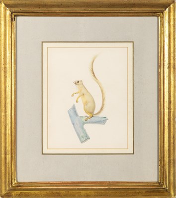 Lot 12 - French School