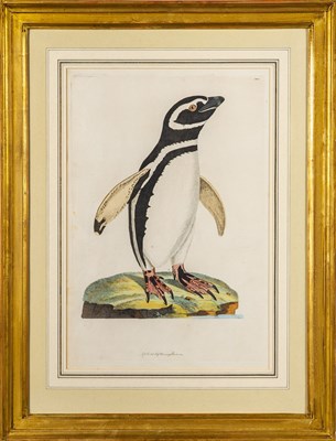 Lot 36 - John Frederick Miller (1759-1796)