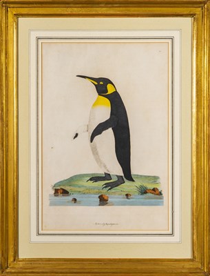 Lot 36 - John Frederick Miller (1759-1796)